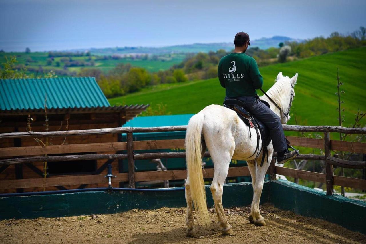 Hotel 3 Hills Boutique - The Ranch Experience Trilofos Exteriér fotografie