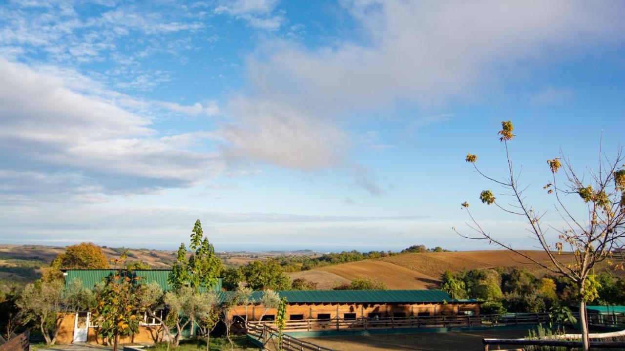 Hotel 3 Hills Boutique - The Ranch Experience Trilofos Exteriér fotografie