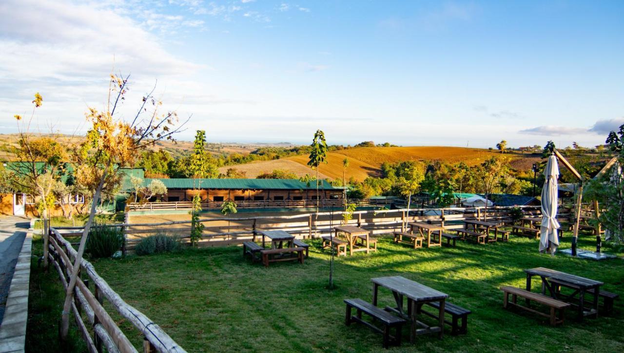 Hotel 3 Hills Boutique - The Ranch Experience Trilofos Exteriér fotografie