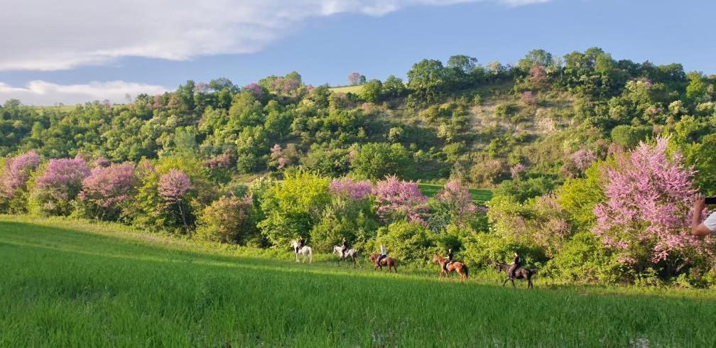 Hotel 3 Hills Boutique - The Ranch Experience Trilofos Exteriér fotografie